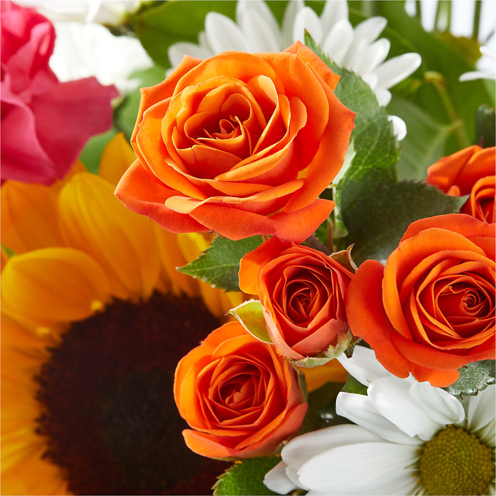 Sun-drenched Blooms Bouquet –  Flover, Wallington NJ