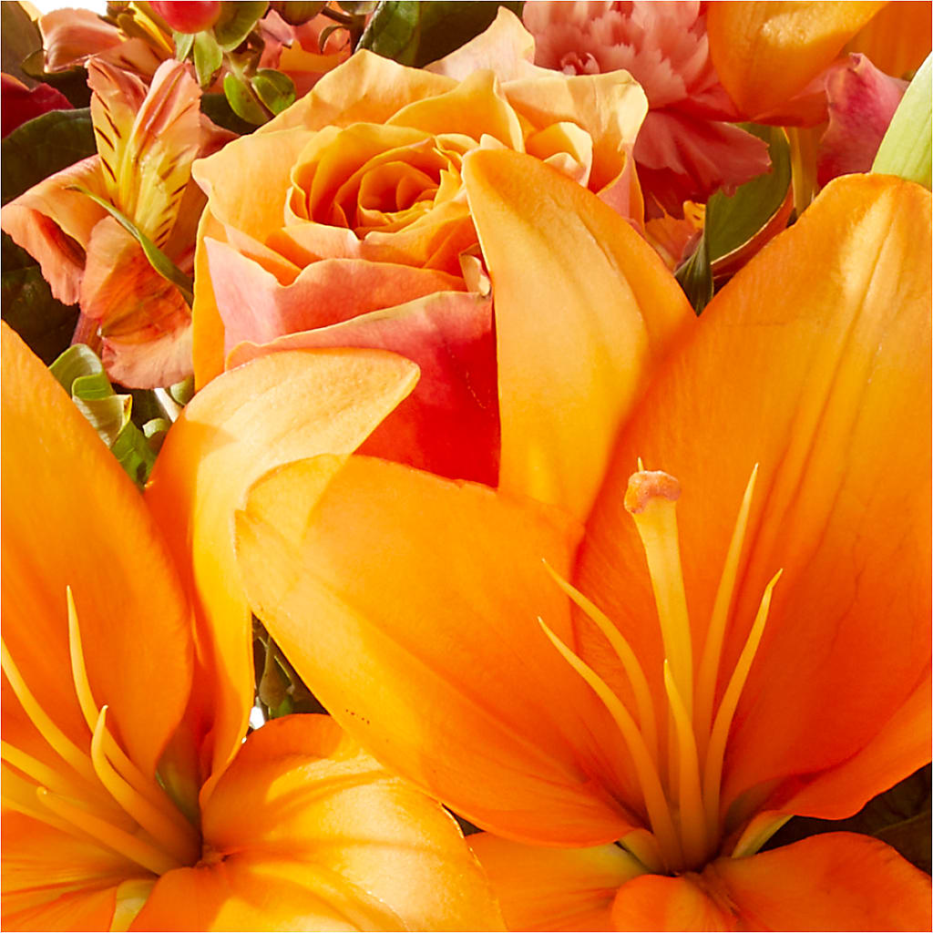 Afternoon Light Bouquet –  Flover, Wallington NJ