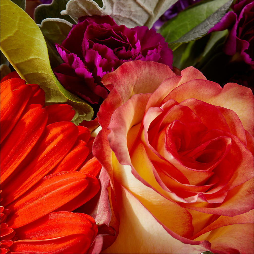 Sangria Bouquet –  Flover, Wallington NJ
