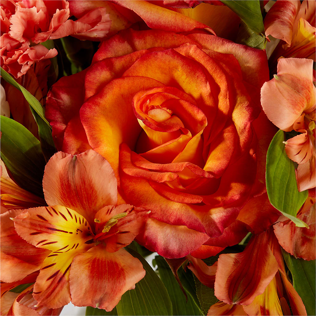 Apricot Glow Bouquet –  Flover, Wallington NJ