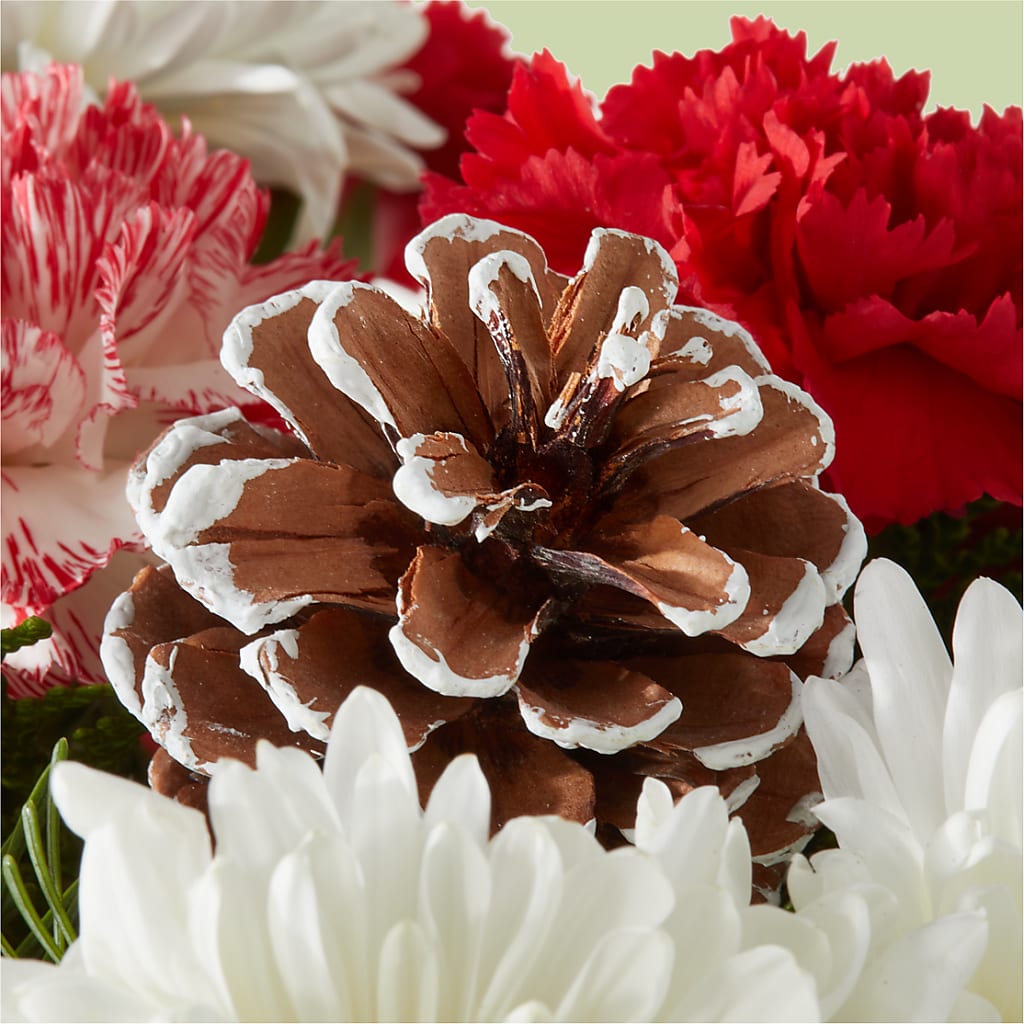 Candy Cane Lane Bouquet –  Flover, Wallington NJ