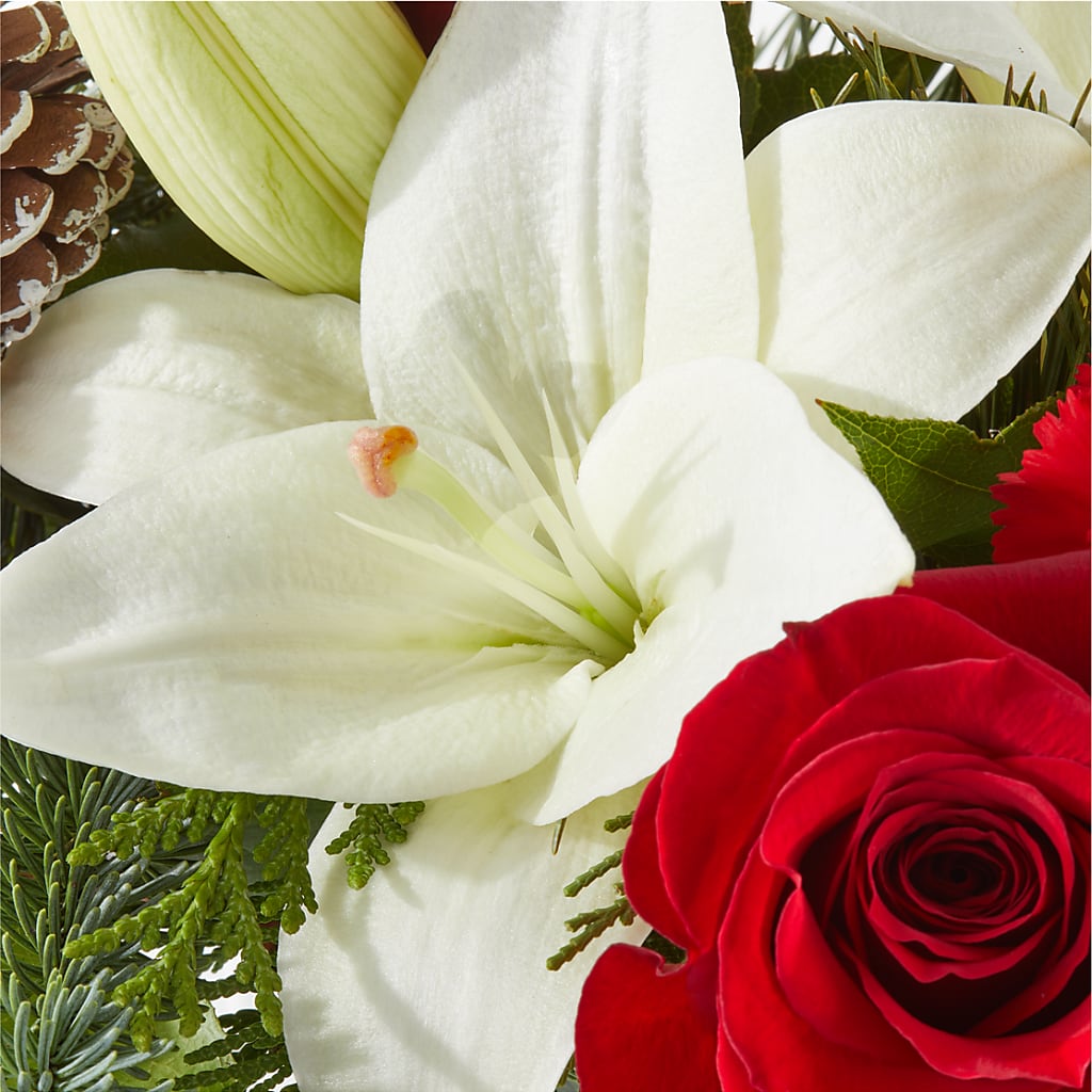 Oh So Jolly Bouquet –  Flover, Wallington NJ