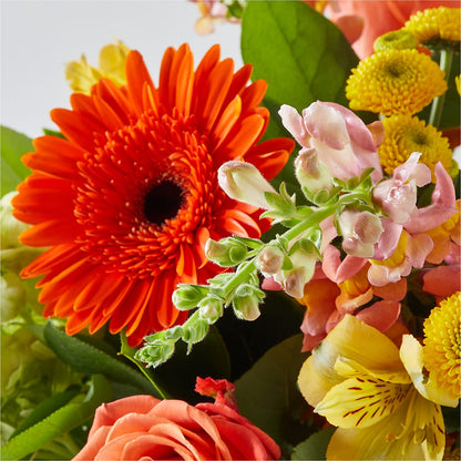 Autumn Sunshine Bouquet –  Flover, Wallington NJ