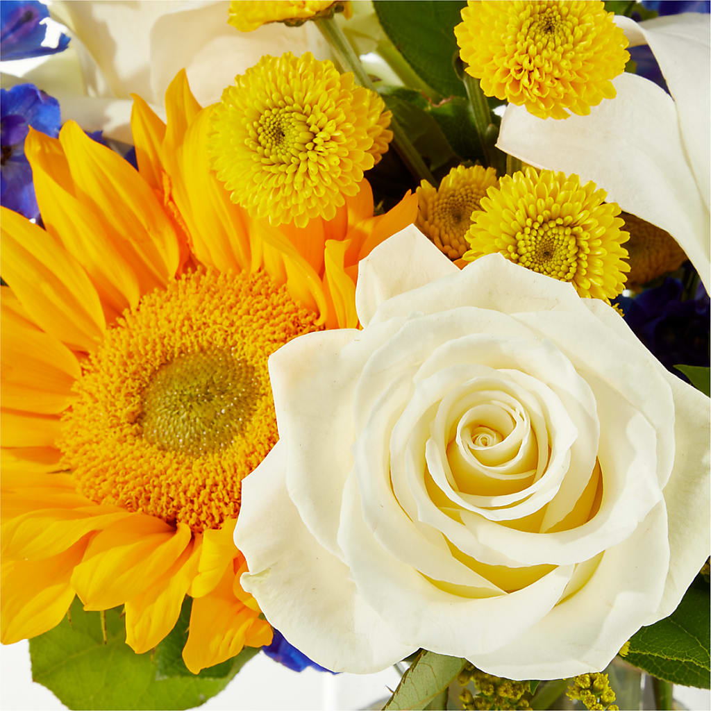 Stargazing Bouquet –  Flover, Wallington NJ