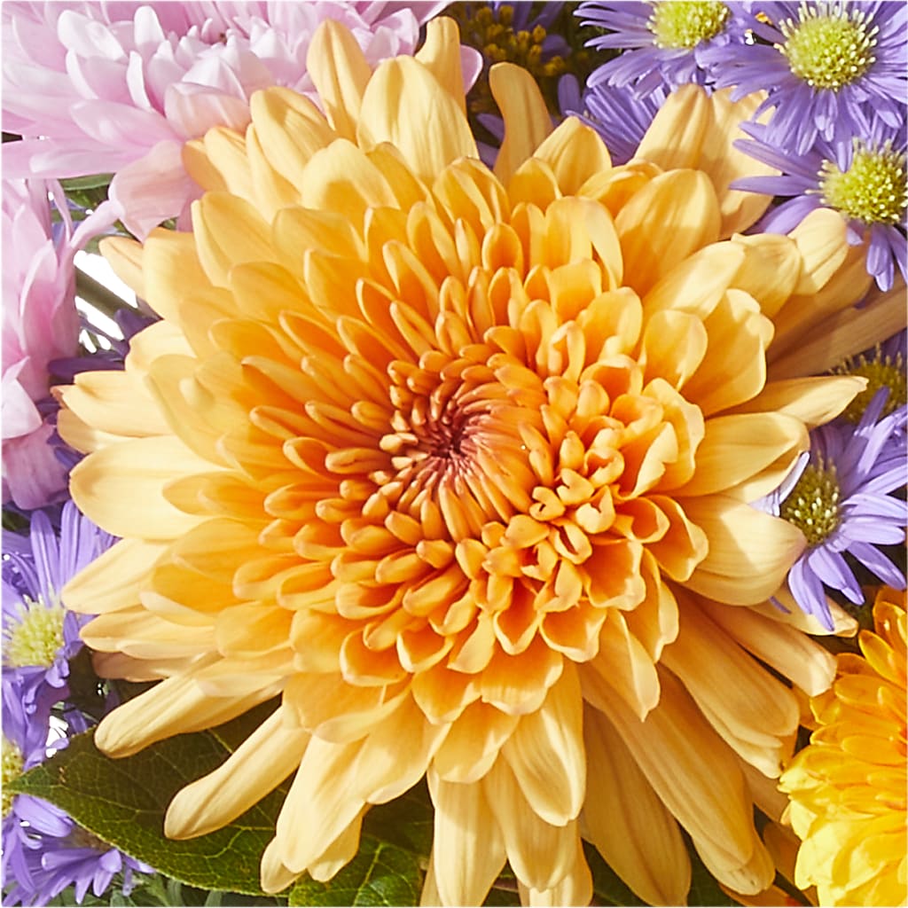 Countryside Bouquet –  Flover, Wallington NJ