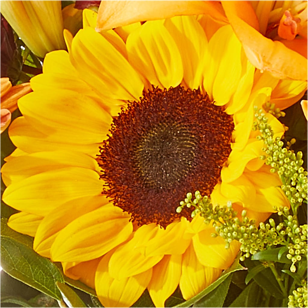Seasons Change Bouquet –  Flover, Wallington NJ