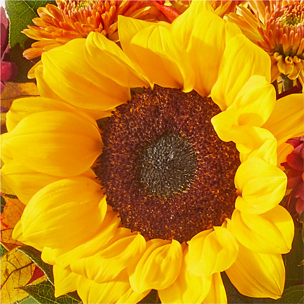 Sunny Side Bouquet –  Flover, Wallington NJ