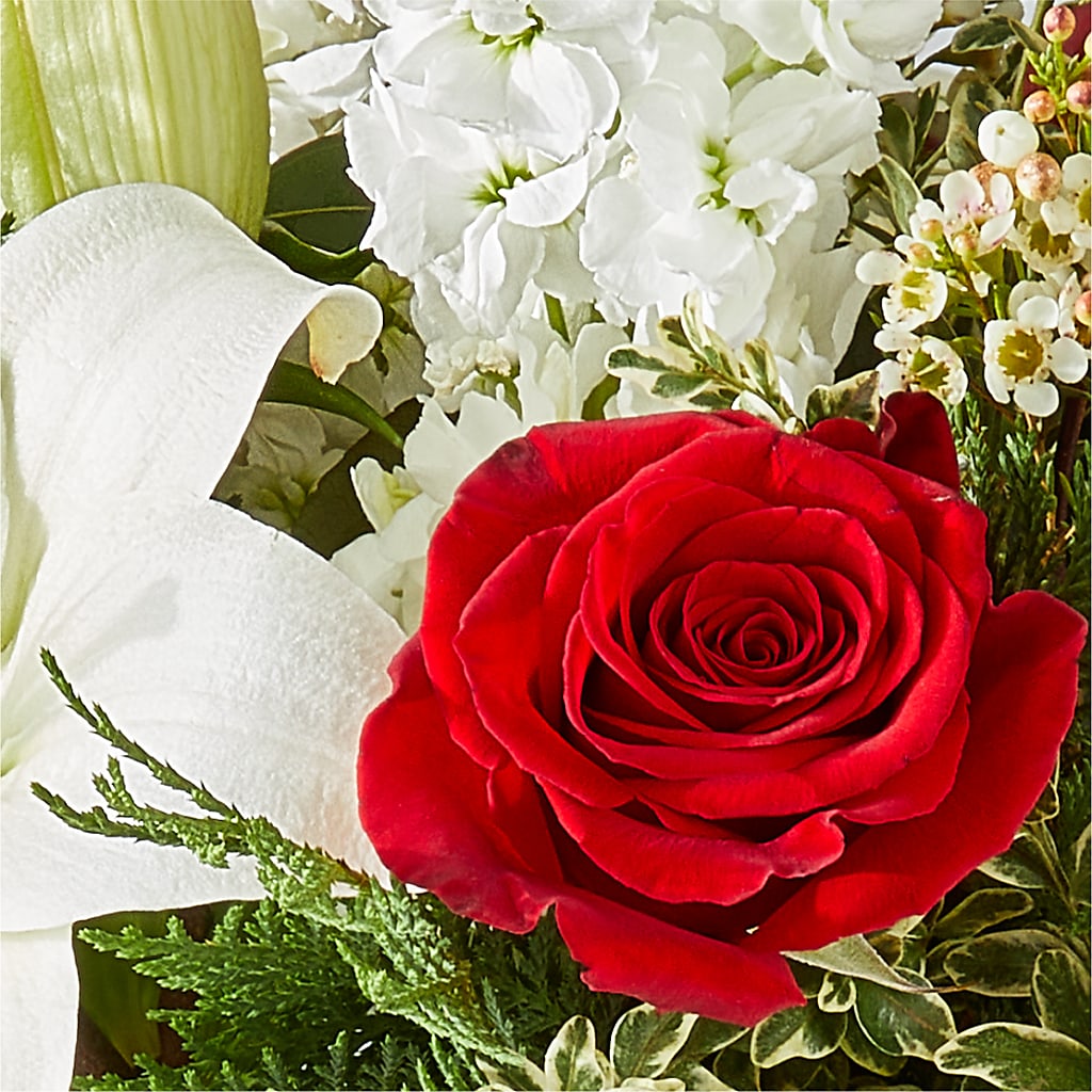 Twinkle Lights Bouquet –  Flover, Wallington NJ