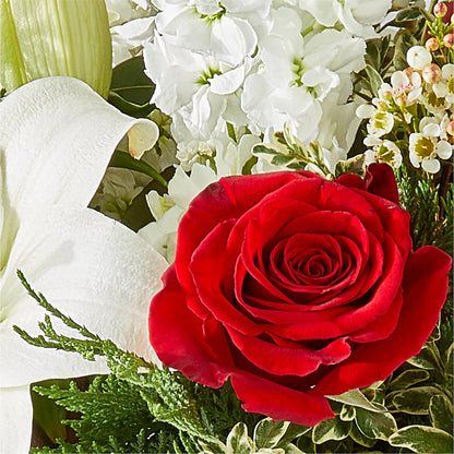 Twinkle Lights Bouquet –  Flover, Wallington NJ