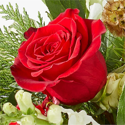 Deck the Halls Bouquet –  Flover, Wallington NJ