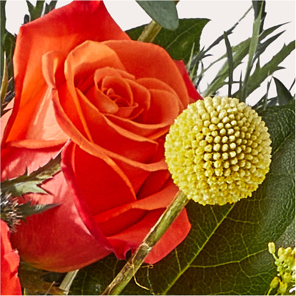Disco Bouquet –  Flover, Wallington NJ