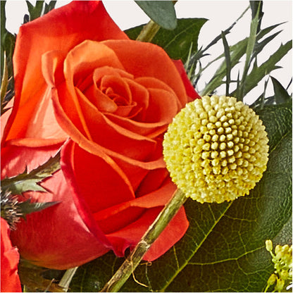 Disco Bouquet –  Flover, Wallington NJ