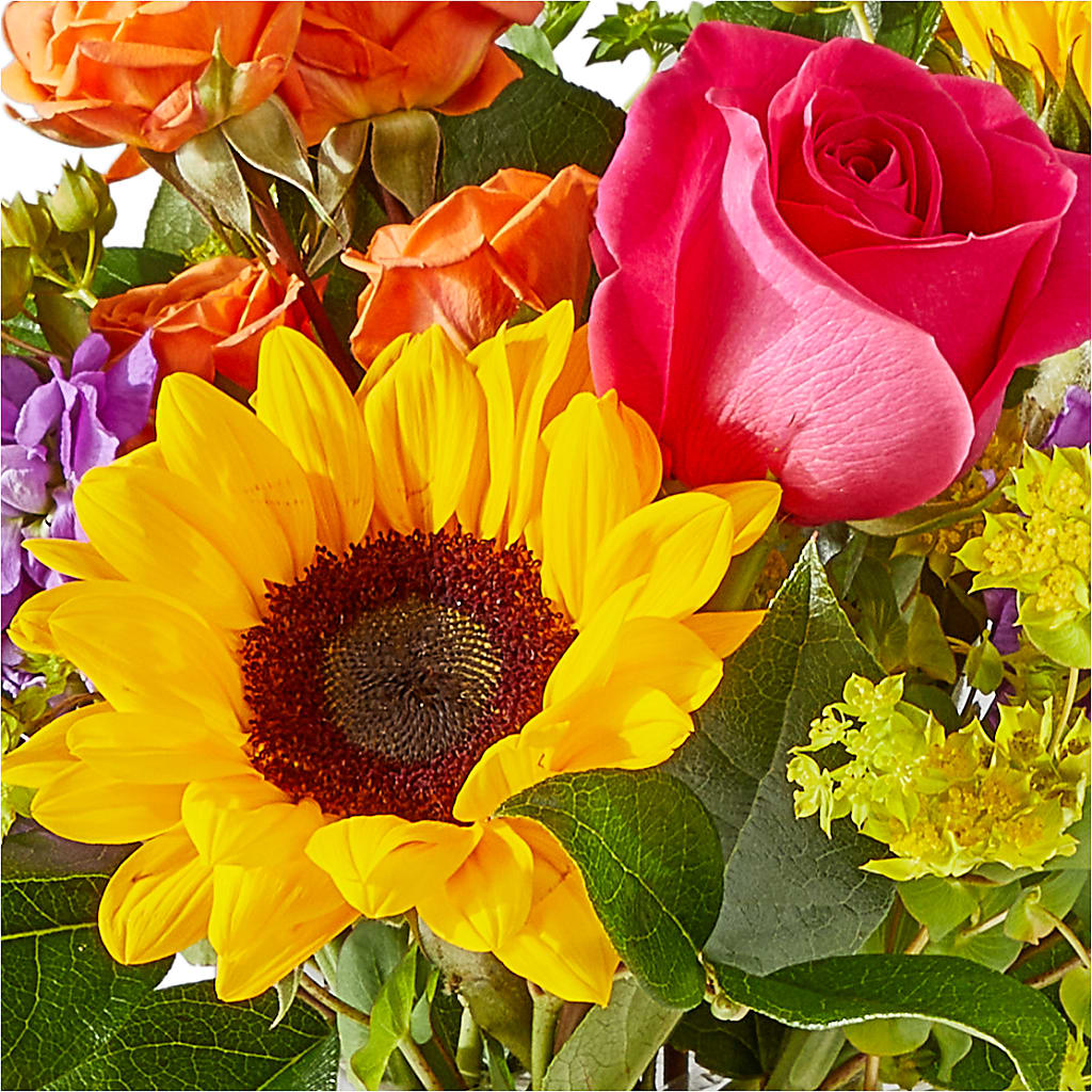 Vibrant Greetings Bouquet –  Flover, Wallington NJ