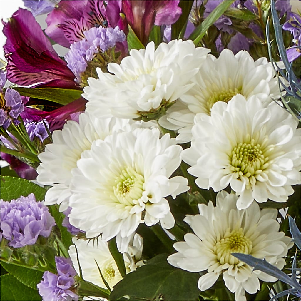 Shooting Star Bouquet –  Flover, Wallington NJ