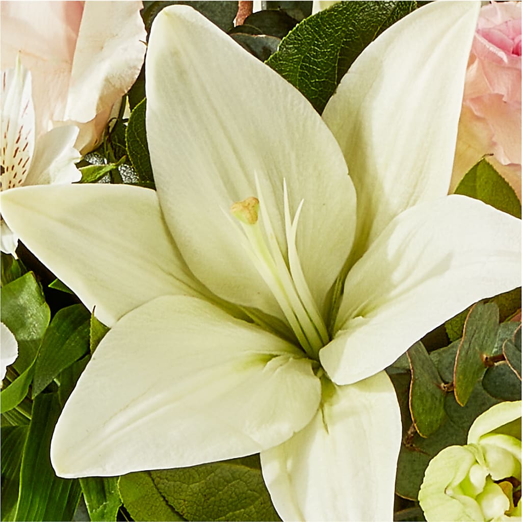 Ballet Slippers Bouquet –  Flover, Wallington NJ