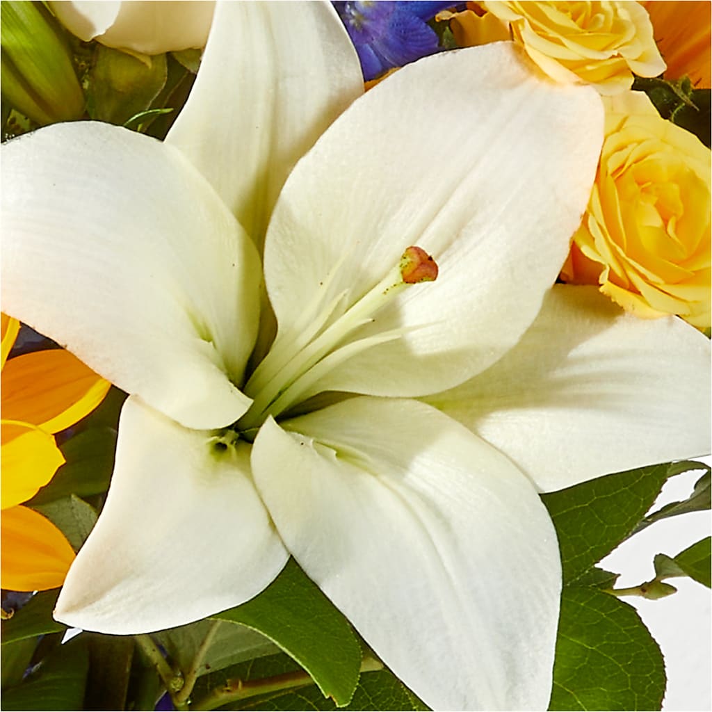 Wonderfully Sunny Bouquet –  Flover, Wallington NJ