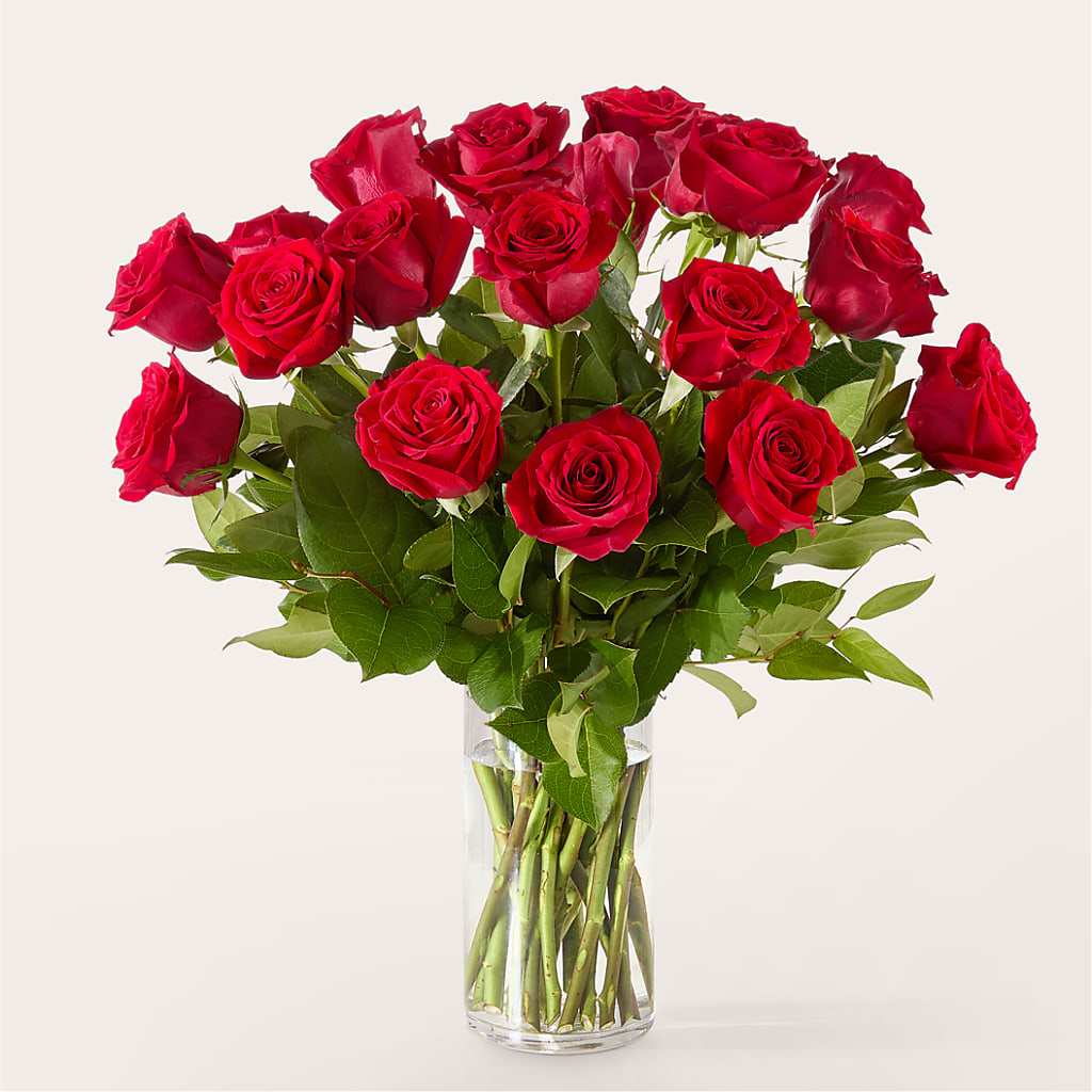 The One Red Rose Bouquet –  Flover, Wallington NJ
