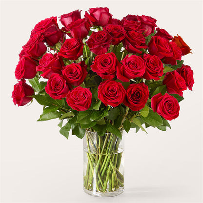 The One Red Rose Bouquet –  Flover, Wallington NJ