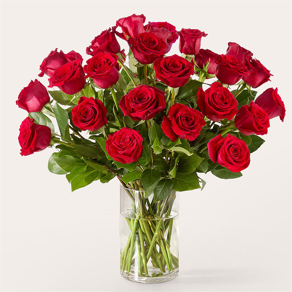The One Red Rose Bouquet –  Flover, Wallington NJ