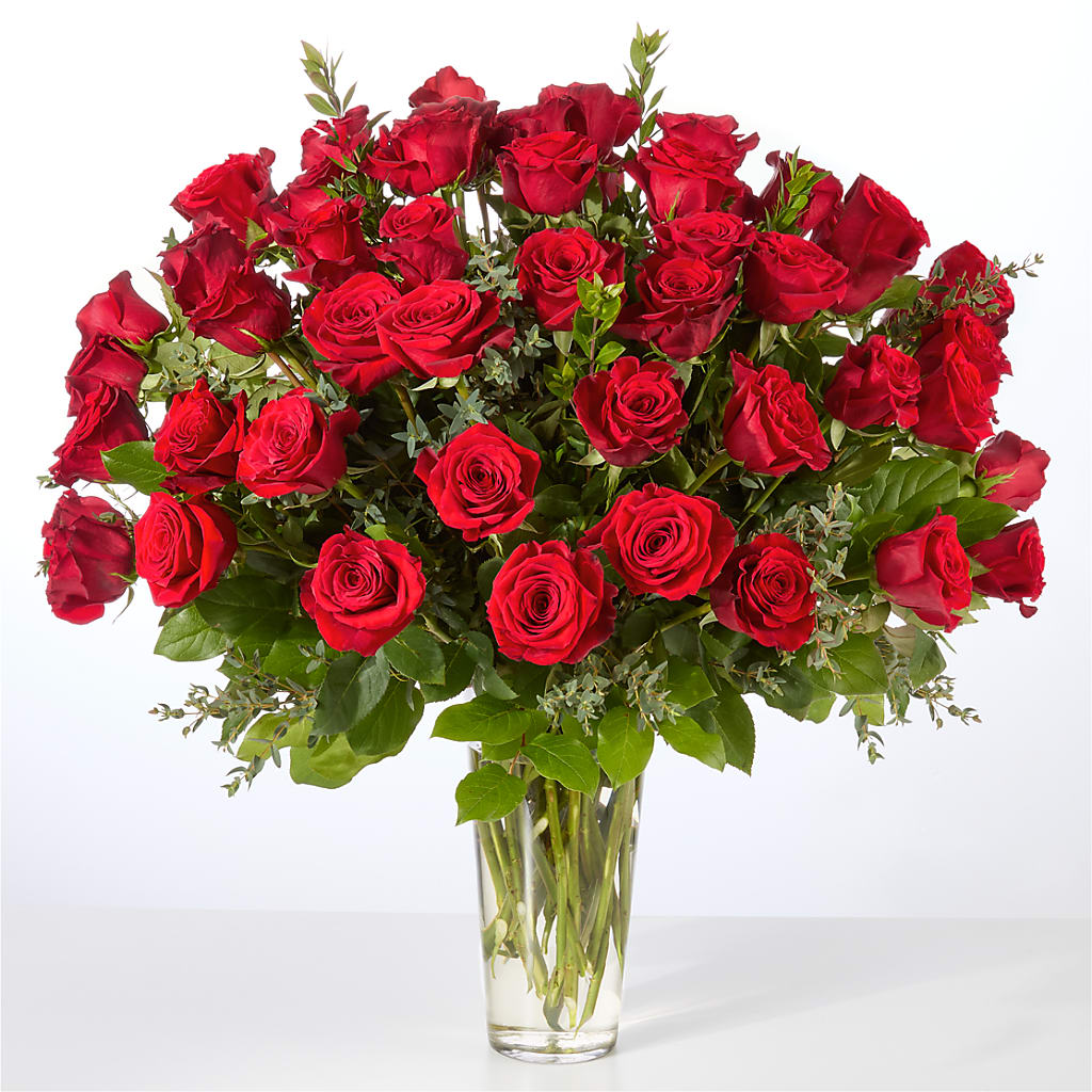 Forever Yours Fifty Stem Red Rose Bouquet –  Flover, Wallington NJ