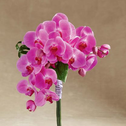 Glorious Bouquet –  Flover, Wallington NJ