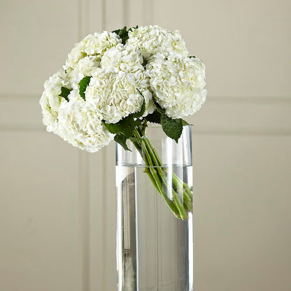 White Hydrangea Hand-Tied Bouquet –  Flover, Wallington NJ