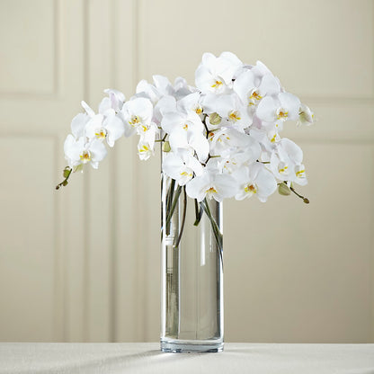 White Phalaenopsis Bouquet –  Flover, Wallington NJ