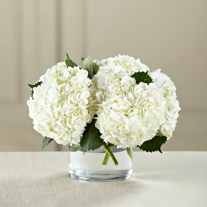 White Hydrangea Bouquet –  Flover, Wallington NJ